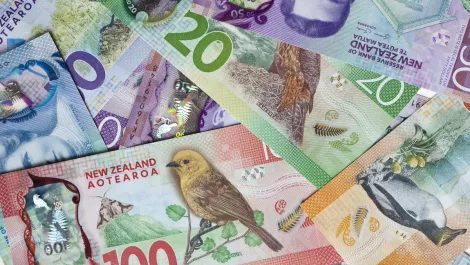 Xero doubles revenue, customers