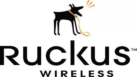 Ruckus valuable patent portfolios hits top 10
