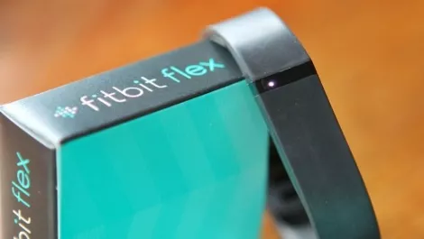 Fitbit Flex according to a real life PT
