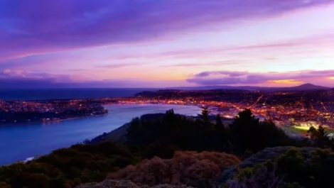 Fastest broadband services officially live in Dunedin