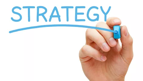 Online and social media strategies vital, says Spark