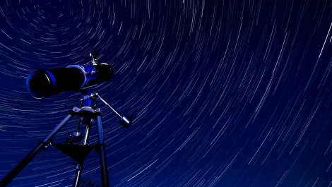 Customer is North Star in digital transformation, but don't forget the rest