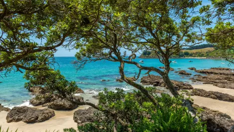 NZ's UFB build on track - Waiheke now complete