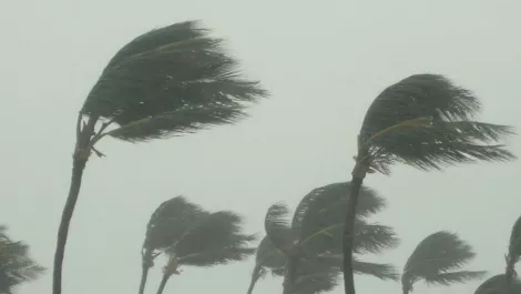 Ex-Cyclone Gita may have blown away your internet