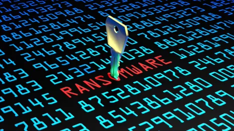 Organisations faced unprecedented ransomware risk in 2020