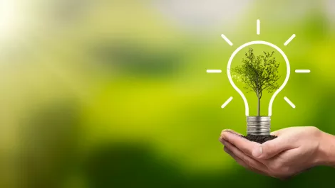 The link between enterprise data security and sustainability