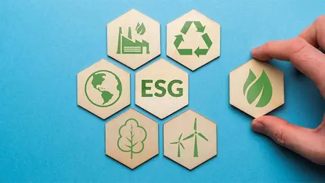 Decision-makers drive demand for ESG reporting